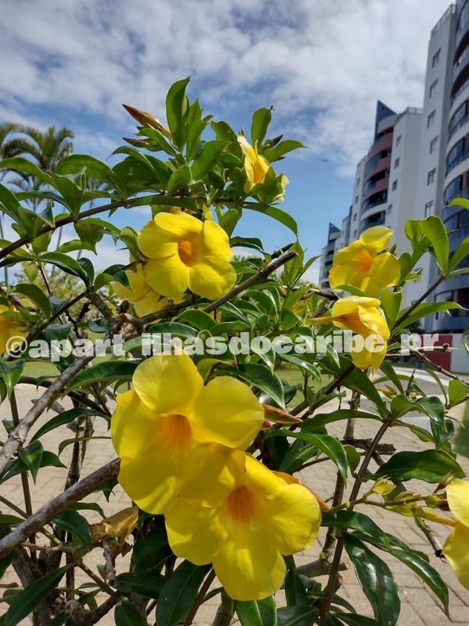 Apto Cond Ilhas Do Caribe - Pr - Beira Mar Матиньюс Экстерьер фото